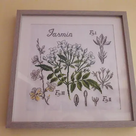 Apartament *jasmine*